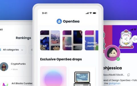 全球最大NFT市集OpenSea新一轮增资的市值可能高达130亿美元