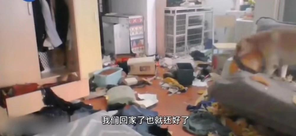 女子隔离14日 监控看爱犬折屋感绝望