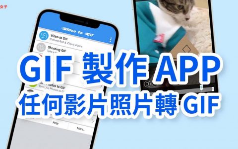 GIF制作APP：Video to GIF将任何视频、照片、原况照片转为GIF动图