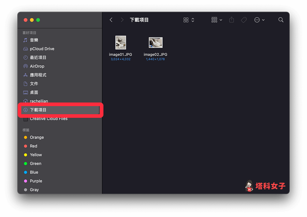 Mac 文件下载位置（浏览器）：下载项目