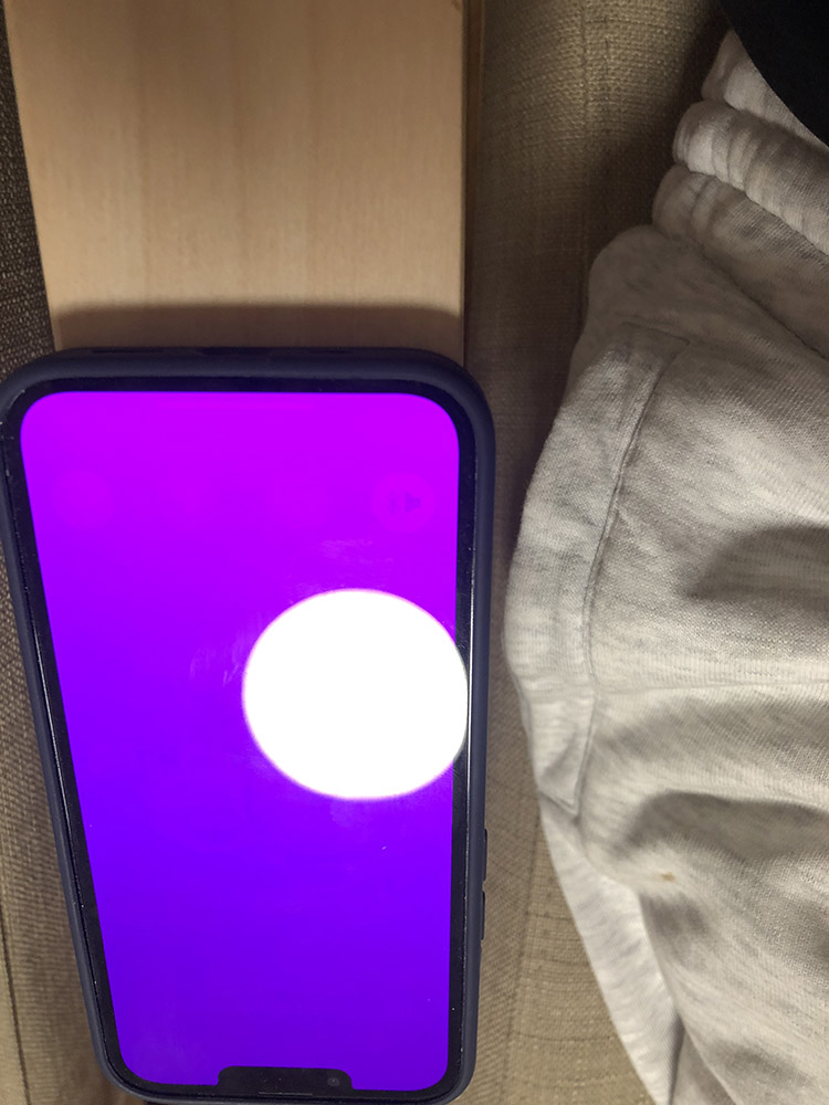 你的 iPhone 13 屏幕颜色变粉红色吗？ Apple 确认是软件 Bug 错误导致 