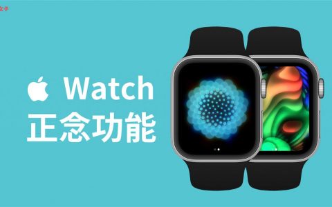 Apple Watch 正念 App 提供呼吸练习与反思模式，这篇教你怎么用