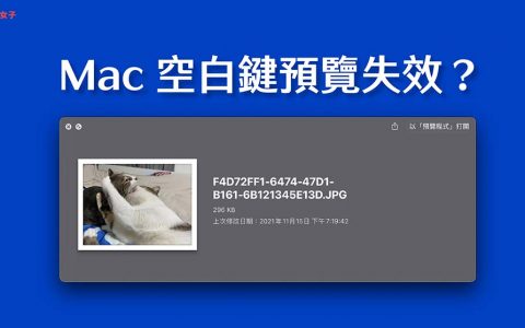Mac 空白键预览失效？ 教你这招一秒解决预览变小的问题！