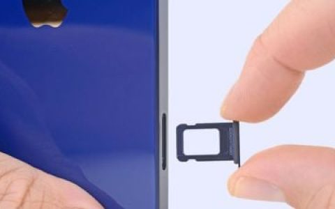 分析师称，仅支持eSIM的iPhone 14可能是可选型号之一 