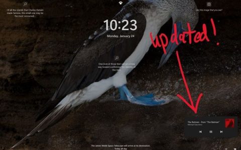 准备大更新！ Win11 22543预览版发布：更顺手好用了