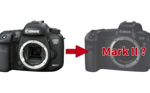 【新机报到】Canon R 系列传推出 3 款型号