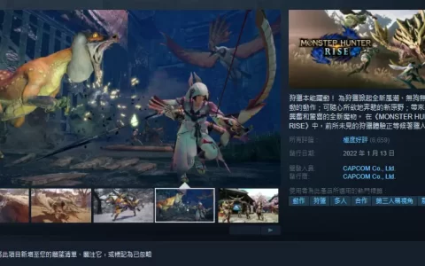 《魔物猎人崛起》STEAM 极度好评，PC/Switch 版全球出货量突破 800 万