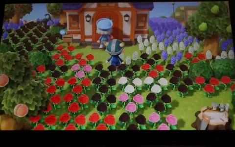 活到老玩到老！ 热爱《动物森友会》系列的「动森奶奶」迎接 90 岁大寿