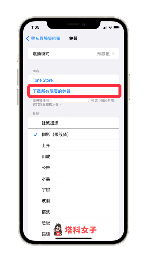 iTunes铃声选项不见？ 直接重新下载 iTunes 铃声