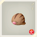 宝可梦传说 阿尔宙斯 #212小山豬