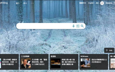 桌面版 Google 搜索致敬了 Bing 的卡片界面，你发现了吗？ 