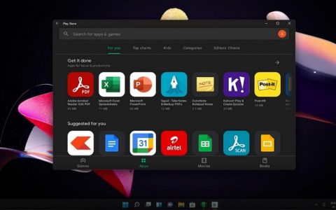 Windows 11用户可用第三方机制安装Google Play Store并执行Android App了 