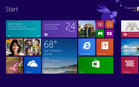 除了 Windows 10，Windows 8 也曾经有一只猫来帮助判断黑画面错误 