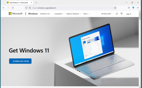 冒牌「Windows 11 升级」现身！ 下载后银行存款、账号密码恐被偷光 