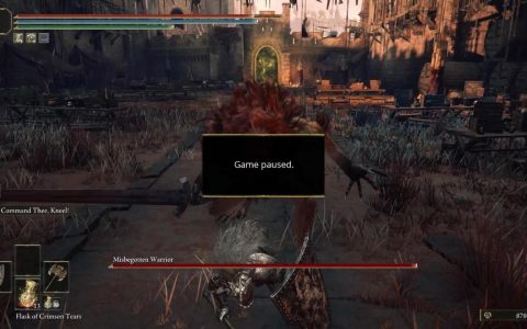 《艾尔登法环》暂停Mod可随时暂停游戏 给你一刻放松 