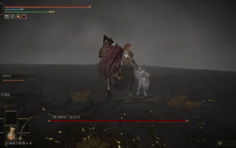 真平民玩家《艾尔登法环》8FPS击杀最终BOSS