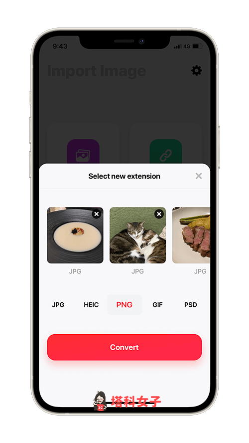 图片格式转换器 App：选择想转换的图片格式