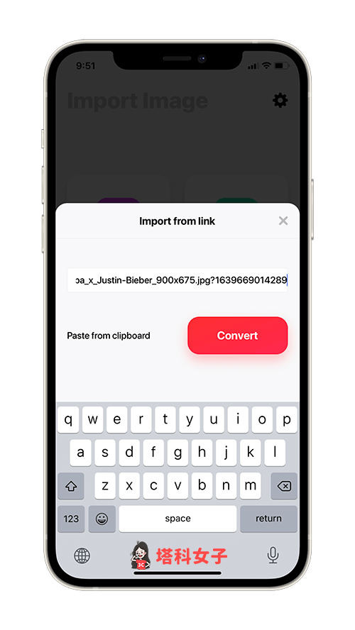 图片格式转换器App：粘贴图片链接并点选 Convert