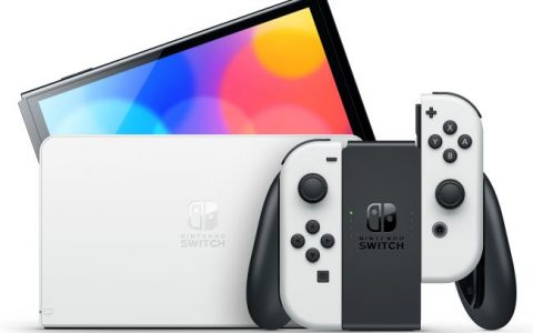 长达5个月的测试证实，OLED Switch 毕竟不能免除烧机的情况