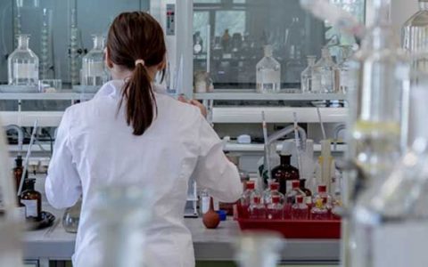 生物灭虫：英国一公司将在美释放20亿只转基因蚊子