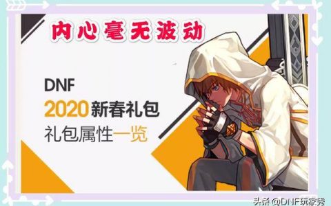 dnf18年春节宠物装备(dnf春节宠物装备选哪个)