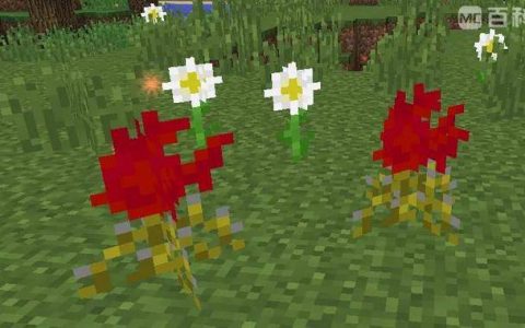 我的世界植物魔法介绍(我的世界植物魔法核心玩法)