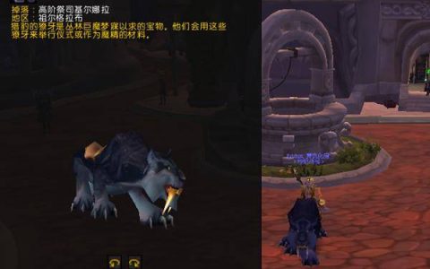 魔兽世界稀有坐骑大全与获得方式(太极熊猫3稀有坐骑位置)