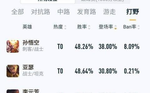 王者荣耀最新各英雄攻略(王者荣耀个人英雄攻略介绍)