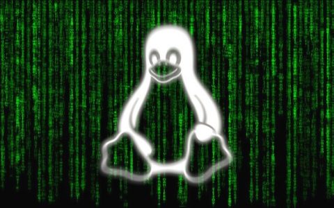 Linux后门程序经由Log4j漏洞散布