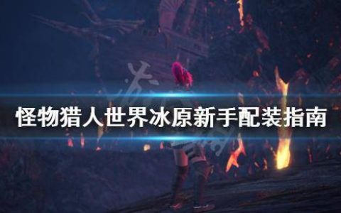 怪物猎人世界冰原新手如何配装(怪物猎人世界冰原最肉的配装)