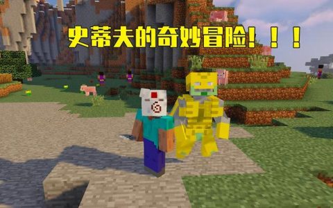 我的世界史蒂夫的奇妙冒险版本介绍(我的世界拥有替身的奇妙之旅)