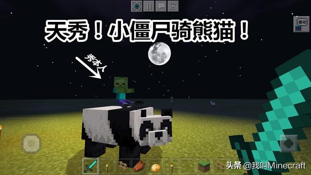 我的世界新的版本熊猫可以驯服吗(我的世界1.8熊猫怎么训服成为坐骑)