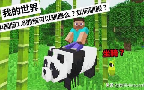 我的世界新的版本熊猫可以驯服吗(我的世界1.8熊猫怎么训服成为坐骑)