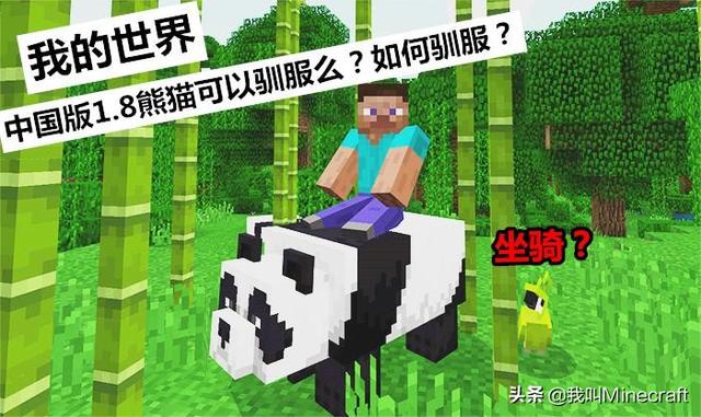 我的世界新的版本熊猫可以驯服吗(我的世界1.8熊猫怎么训服成为坐骑)