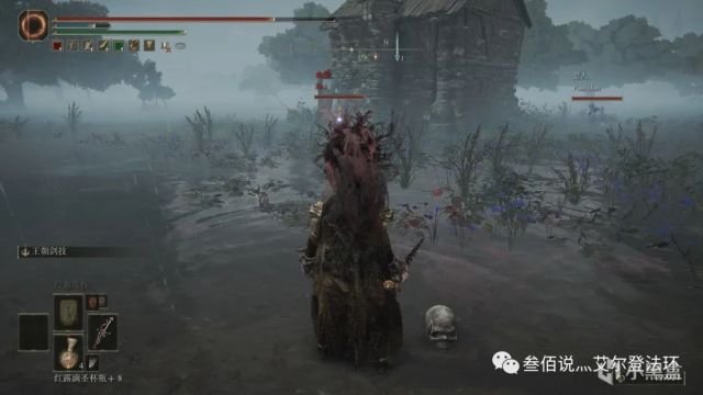 【攻略】《艾尔登法环 Elden Ring》pvp基础教学
