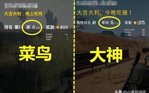 吃鸡如何看段位排名(吃鸡怎么看全区段位排行)