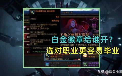 dnf100级白金徽章全职业提升率(dnf白金徽章给什么职业好)