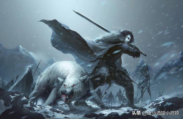 冰与火之歌瓦雷利亚武器有哪些(冰与火之歌越打越强的剑)