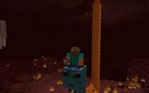 我的世界能驯服生物有哪些(我的世界中可以驯服的生物)