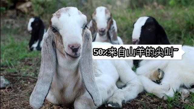minecraft神秘事件(minecraft神秘山洞)