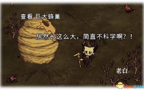 饥荒联机版蜂后攻略(饥荒联机版蜂后怎么激活)