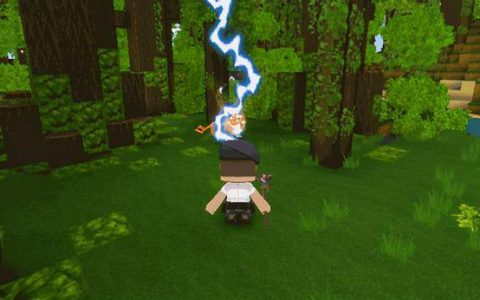 迷你世界什么地图雨林最多(迷你世界一个地图有多少雨林)