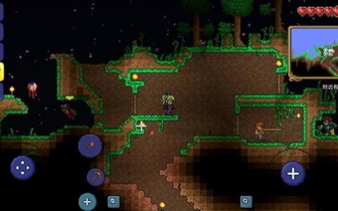 泰拉瑞亚手游怎么加入一个队伍(泰拉瑞亚手游如何加入同阵营)