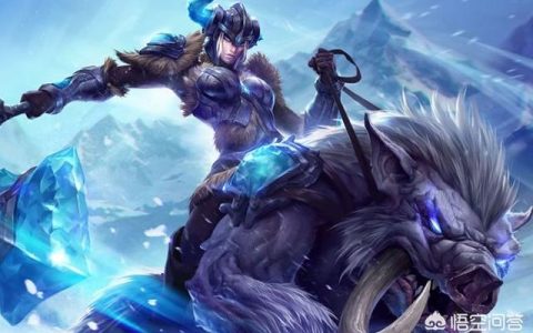 英雄联盟食草型打野英雄(英雄联盟肉打野英雄推荐)