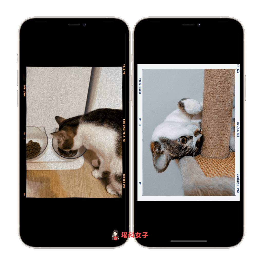TOK CAM 拍立得App：自动储存到 iPhone 照片