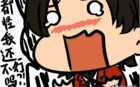 崩坏3角色强度排行图4.5(崩坏3v40角色强度榜)