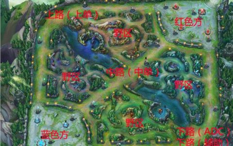 lol各个位置专业术语你知道多少(如何看懂lol专业术语)