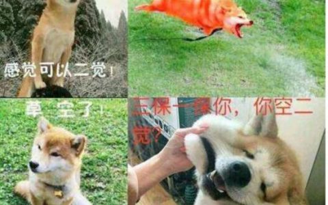 dnf红眼护石符文选择(dnf红眼护石符文完美推荐图片)