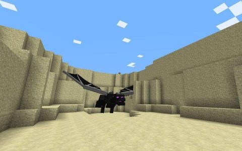 我的世界不同玩家打末影龙(我的世界怎么可以去打末影龙)