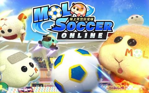 《PUI PUI 天竺鼠车车 一起来！ 》免费更新「线上天竺鼠足球」支持连机
